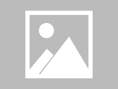 商务云解决方案公司，电子商务团队的核心职责与未来趋势